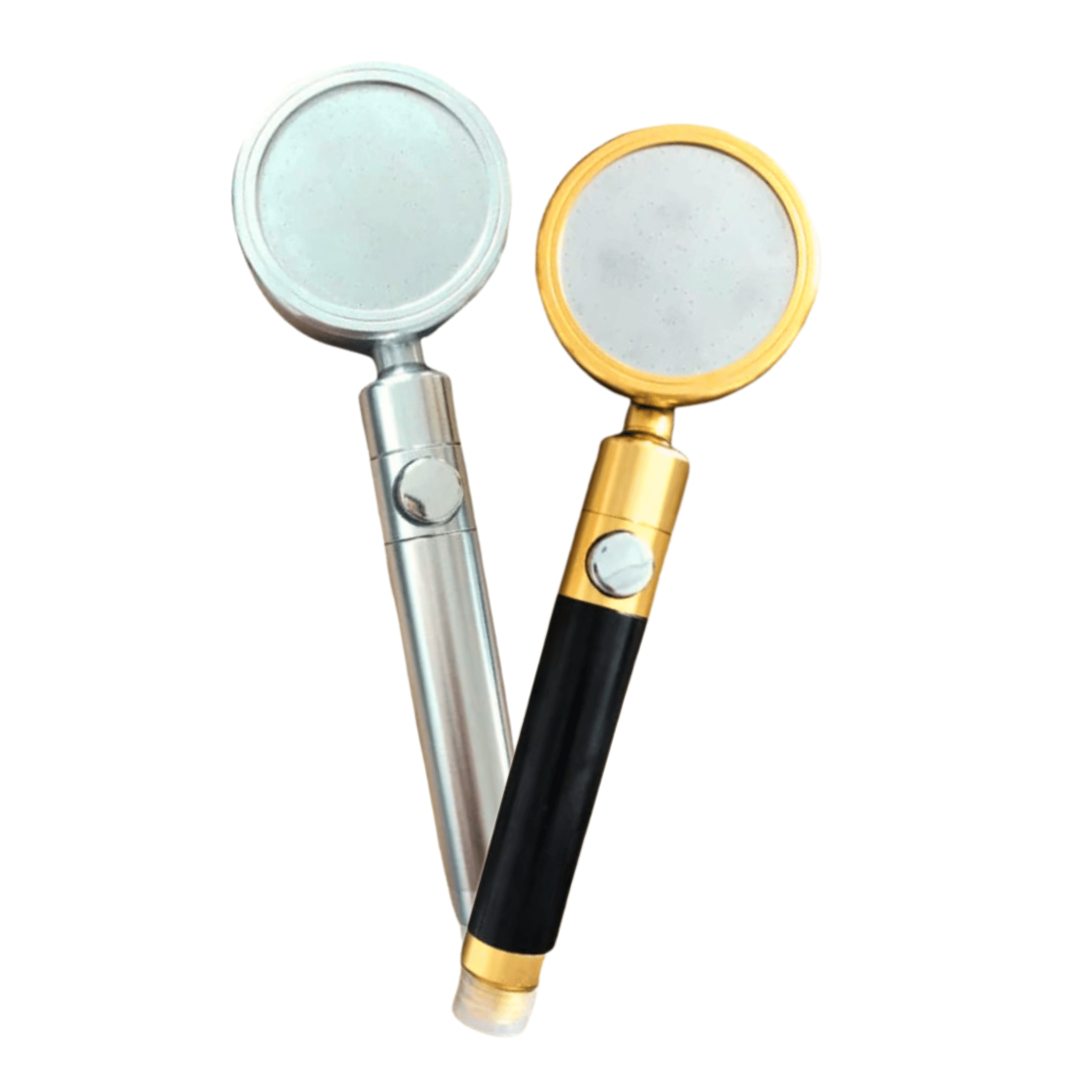 Stainless Steel Duo Shower Head